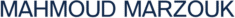 main logo navy