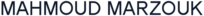 main logo navy