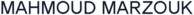 main logo navy